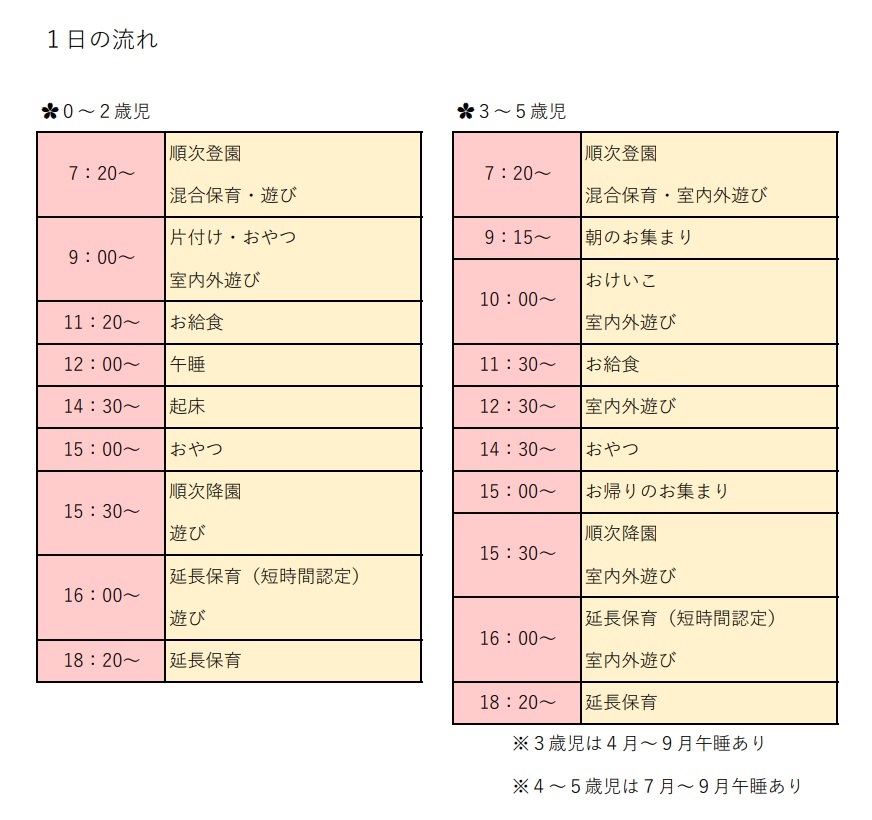 デイリープログラム